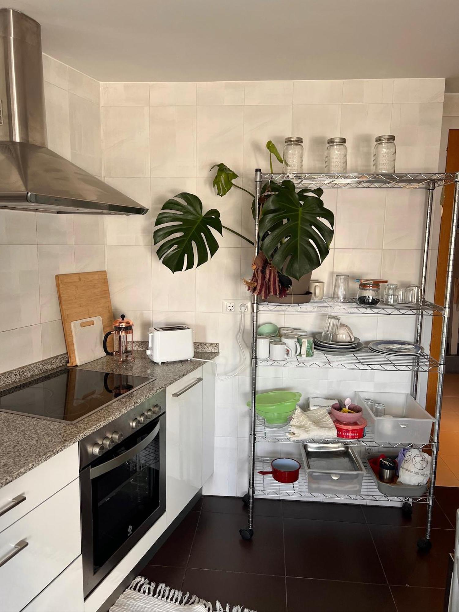 Descubre El Interior De Galicia Desde Nuestro Apartamento Apartment Sarria